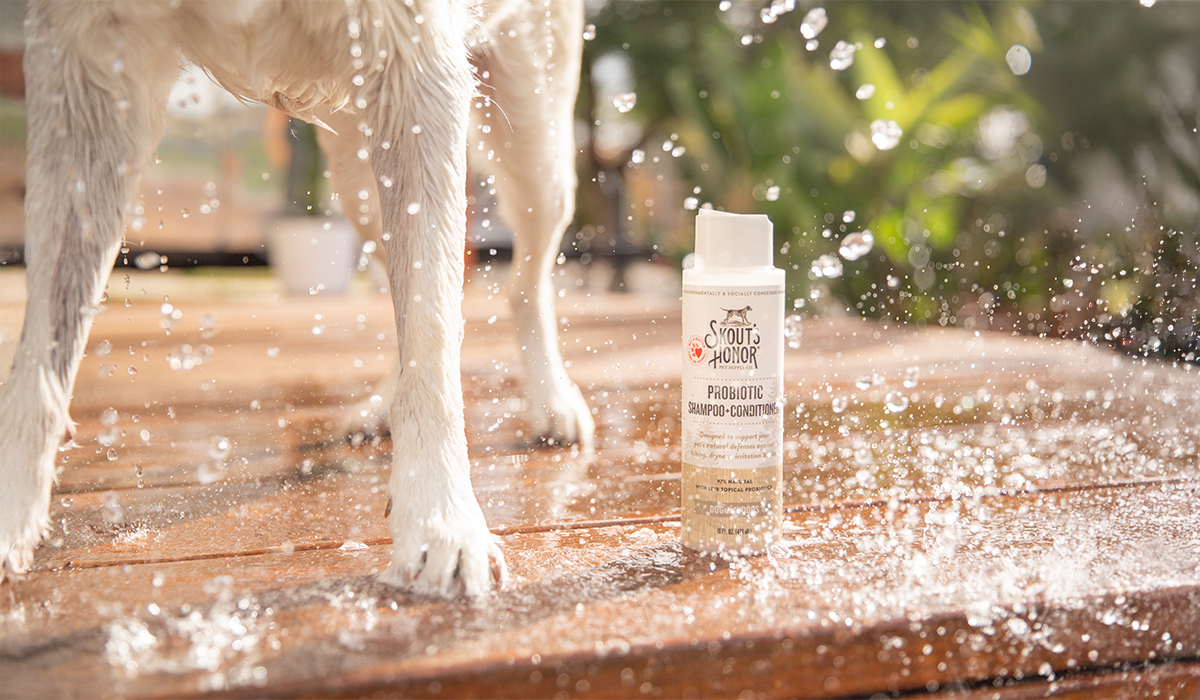 The Ultimate Guide to Dog Shampoo: What Every Pet Parent Should Know