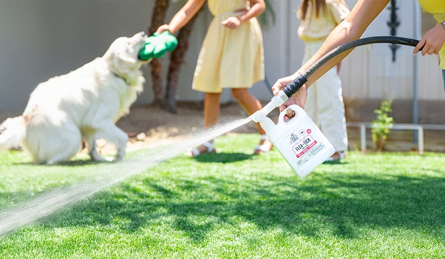 The Ultimate Guide to Natural Flea and Tick Control: Protecting Your Pup Naturally