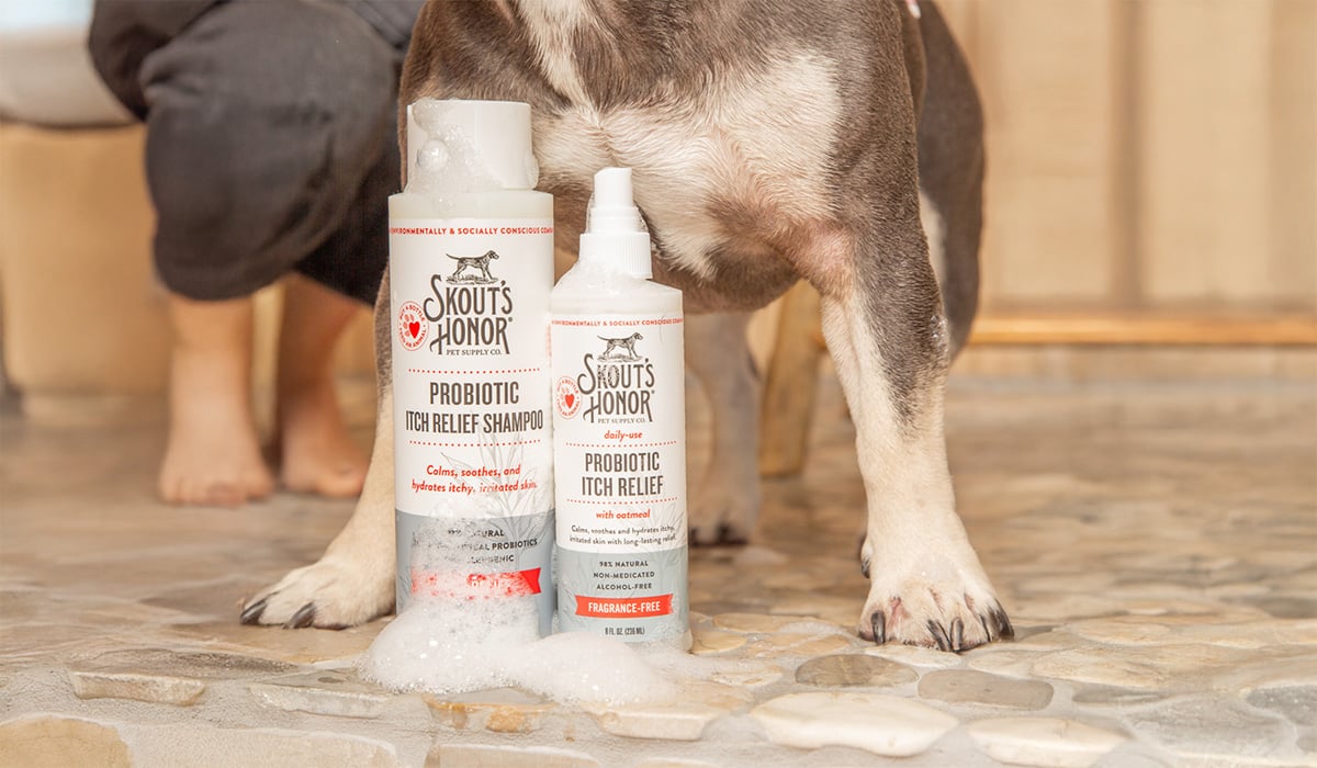How to Stop Your Dog from Itching: Effective Remedies for Itchy Skin